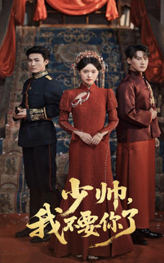 《少帅我不要你了》