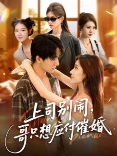 《上司别闹哥只想应付催婚》