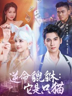 《逆命貔貅它是只猫》