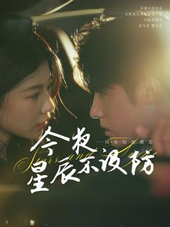 《今夜星辰不设防》