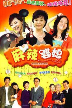 《麻辣婆媳[电影解说]》