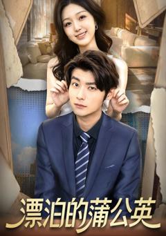 《漂泊的蒲公英》