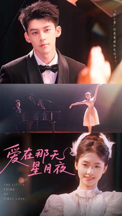《爱在那天星月夜》