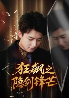 《狂飙之隐剑锋芒》