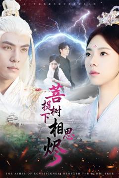 《菩提树下相思烬》