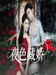 《夜色藏娇》