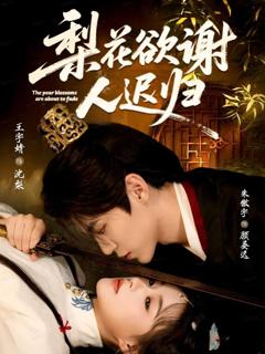 《梨花欲谢人迟归》