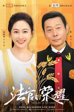 《法官的荣耀》