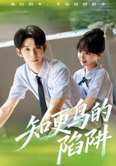 《知更鸟的陷阱》