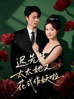 《迟先生，太太她又花式作妖啦》