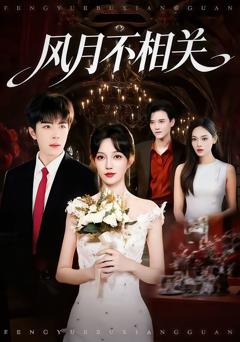 《风月不相关》