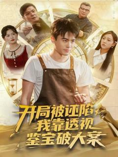 《开局被诬陷，我靠透视鉴宝破大案》