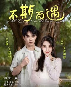 《短剧不期而遇》