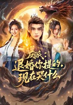《反派退婚你提的现在哭什么》