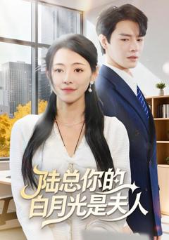 《陆总你的白月光是夫人》