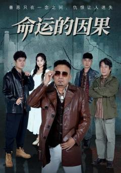 《命运的因果》