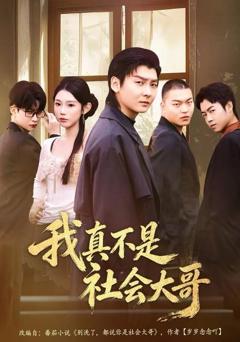 《我真不是社会大哥》