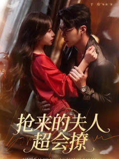 《抢来的夫人超会撩》