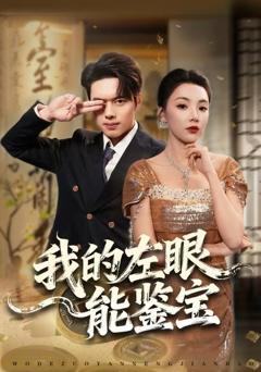 《我的左眼能鉴宝》