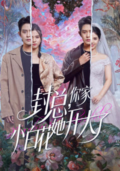 《封总，你家小白花她开大了》