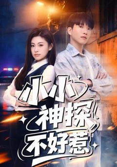 《小小神探不好惹》