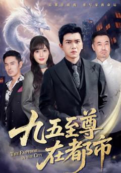 《九五至尊在都市》
