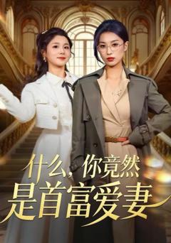 《什么，你竟然是首富爱妻》