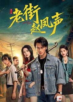 《老街赵凤声》