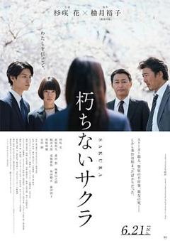 《不朽的樱花[电影解说]》