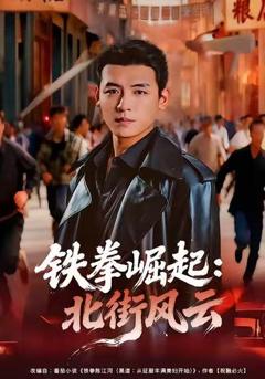 《铁拳崛起：北街风云》
