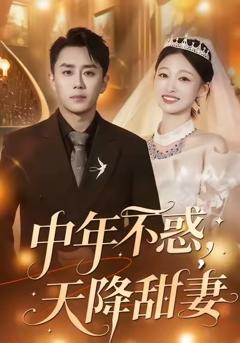 《中年不惑，天降甜妻》