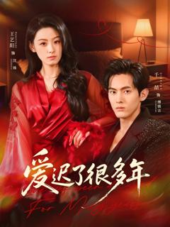 《爱迟了很多年》