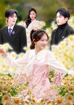 《海风替我说再见》