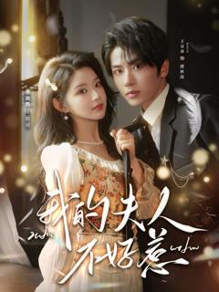 《我的夫人不好惹》