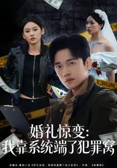 《婚礼惊变：我靠系统端了犯罪窝》