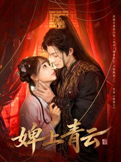 《婢上青云》