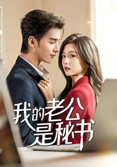 《我的老公是秘书》