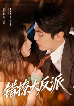 《错撩大反派》