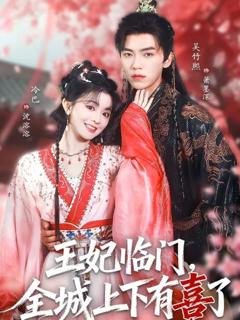 《王妃临门全城上下有喜了》