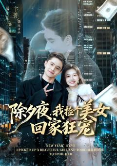 《除夕夜，我捡个美女回家狂宠》