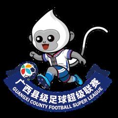 广西县级足球超级联赛 崇左市凭祥市队 4-1钦州市灵山县队20260131