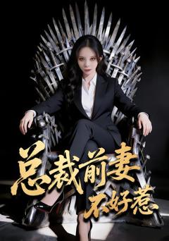 《总裁前妻不好惹》