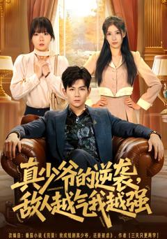 《真少爷的逆袭，敌人越气我越强》