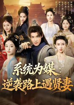 《系统为媒逆袭路上遇贤妻》