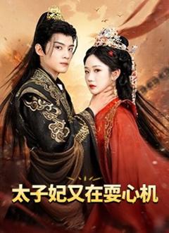 《太子妃又在耍心机》
