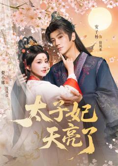 太子妃天亮了
