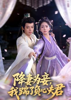 降妻为妾，我踹了负心夫君