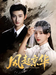 《风起京华》
