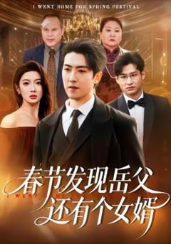 《春节发现岳父还有个女婿》