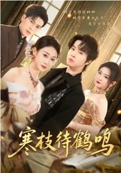 《寒枝待鹤鸣》